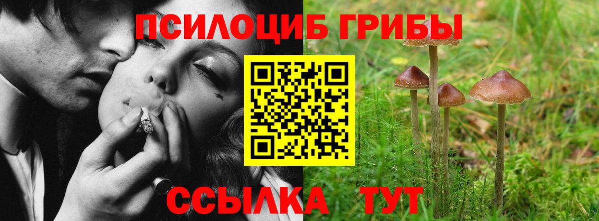 Галлюциногенные грибы прущие грибы  Вход с VPN  Ржев 